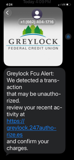 fraud example saying unauthorized activity