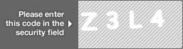 captcha code for visual authentication  letter Z number 3 letter L number 4