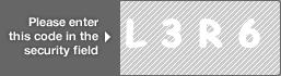 captcha code for visual authentication  letter L number 3 letter R number 6