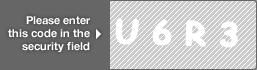 captcha code for visual authentication  letter U number 6 letter R number 3