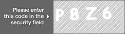 captcha code for visual authentication  letter P number 8 letter Z number 6