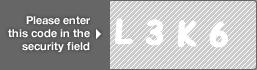 captcha code for visual authentication  letter L number 3 letter K number 6