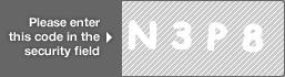 captcha code for visual authentication  letter N number 3 letter P number 8