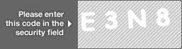 captcha code for visual authentication  letter E number 3 letter N number 8