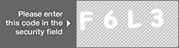 captcha code for visual authentication  letter F number 6 letter L number 3