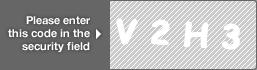 captcha code for visual authentication  letter V number 2 letter H number 3